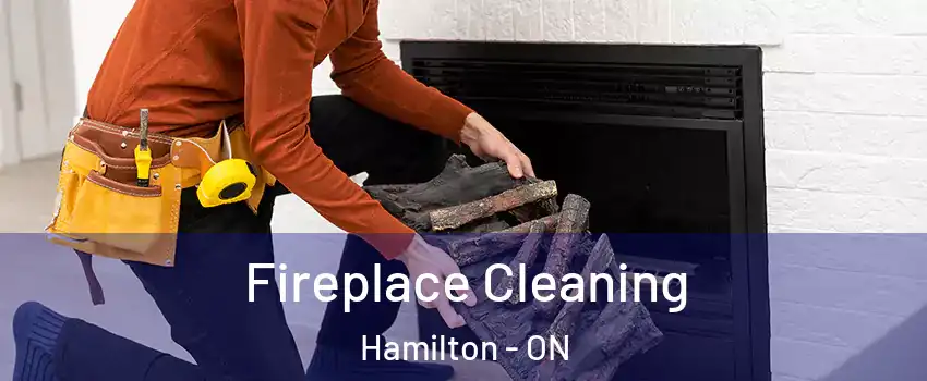  Fireplace Cleaning Hamilton - ON